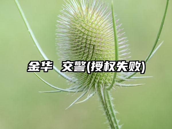 金华 交警(授权失败)
