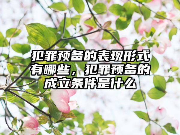 犯罪预备的表现形式有哪些,犯罪预备的成立条件是什么