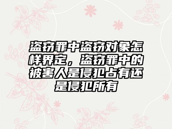 盗窃罪中盗窃对象怎样界定，盗窃罪中的被害人是侵犯占有还是侵犯所有