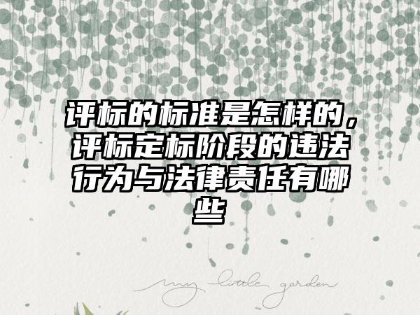评标的标准是怎样的，评标定标阶段的违法行为与法律责任有哪些