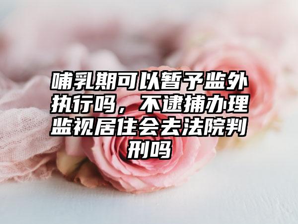 哺乳期可以暂予监外执行吗,不逮捕办理监视居住会去法院判刑吗