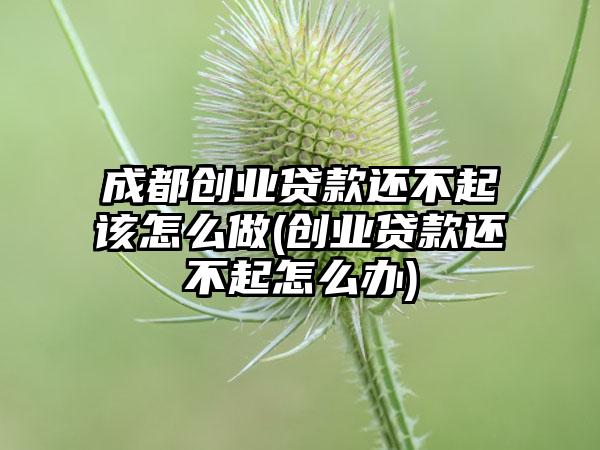 成都创业贷款还不起该怎么做(创业贷款还不起怎么办)