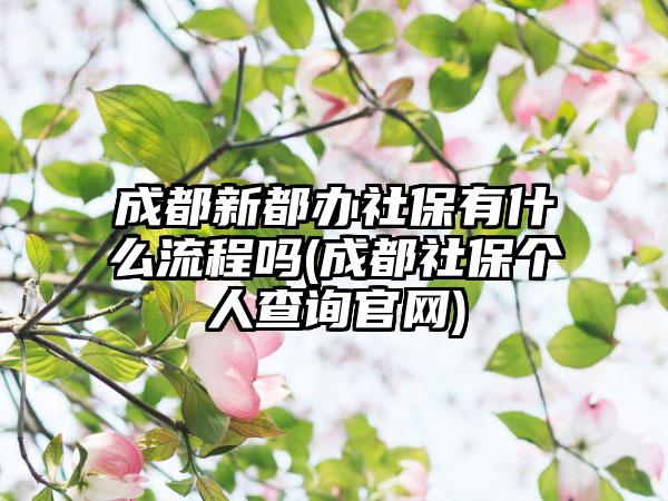 成都新都办社保有什么流程吗(成都社保个人查询官网)