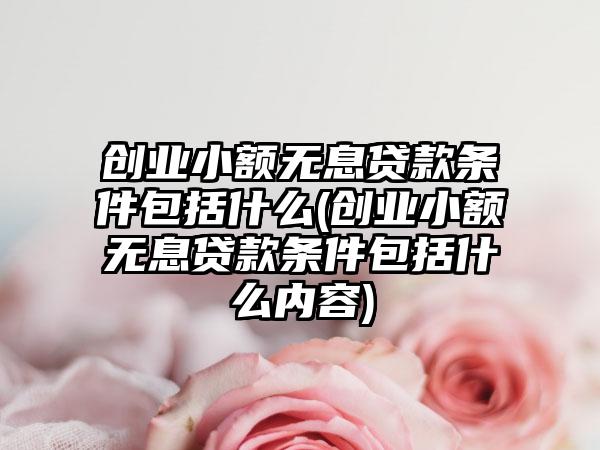创业小额无息贷款条件包括什么(创业小额无息贷款条件包括什么内容)
