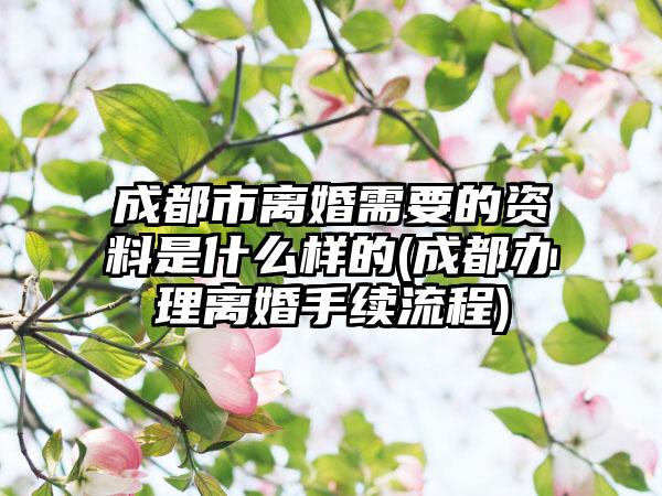 成都市离婚需要的资料是什么样的(成都办理离婚手续流程)