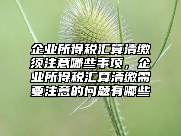 企业所得税汇算清缴须注意哪些事项，企业所得税汇算清缴需要注意的问题有哪些