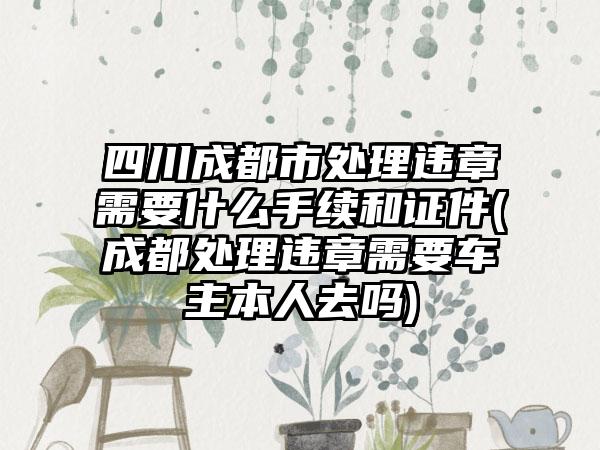 四川成都市处理违章需要什么手续和证件(成都处理违章需要车主本人去吗)