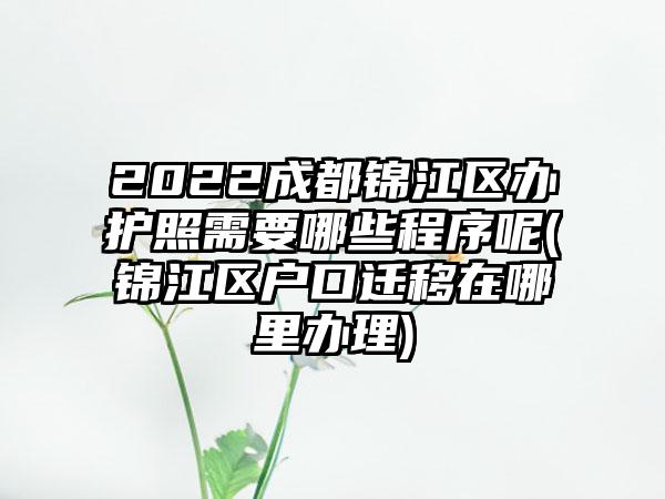 2022成都锦江区办护照需要哪些程序呢(锦江区户口迁移在哪里办理)