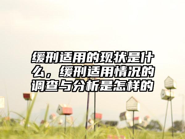 缓刑适用的现状是什么，缓刑适用情况的调查与分析是怎样的