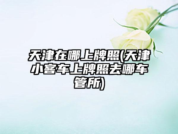 天津在哪上牌照(天津小客车上牌照去哪车管所)