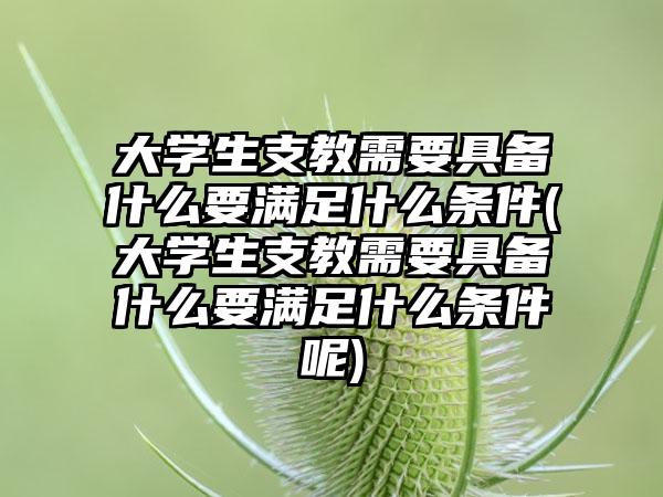 大学生支教需要具备什么要满足什么条件(大学生支教需要具备什么要满足什么条件呢)