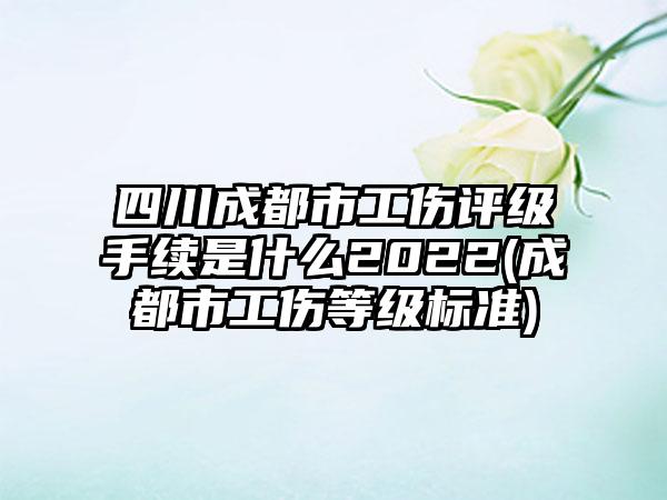 四川成都市工伤评级手续是什么2022(成都市工伤等级标准)