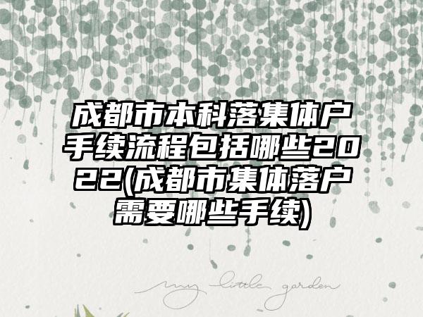 成都市本科落集体户手续流程包括哪些2022(成都市集体落户需要哪些手续)