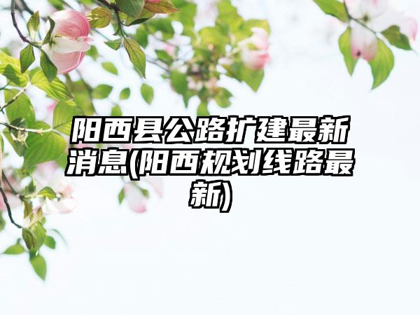阳西县公路扩建最新消息(阳西规划线路最新)