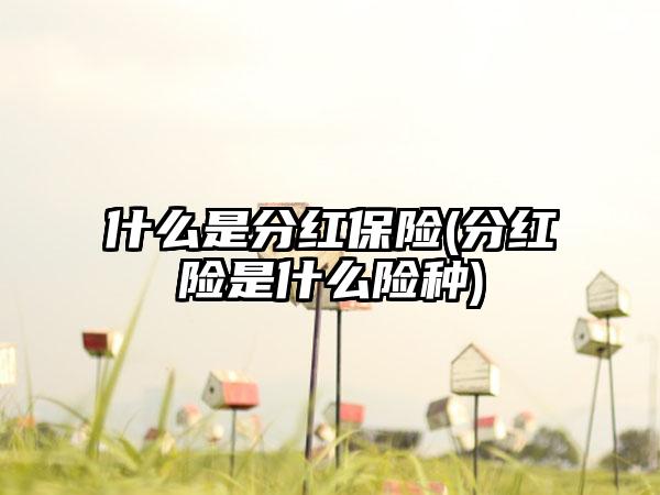 什么是分红保险(分红险是什么险种)
