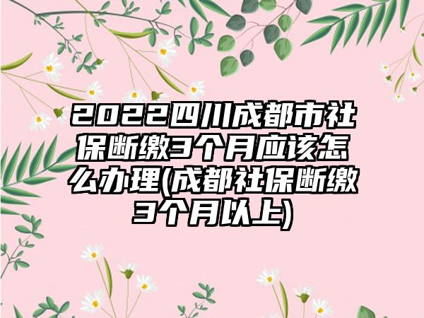 2022四川成都市社保断缴3个月应该怎么办理(成都社保断缴3个月以上)