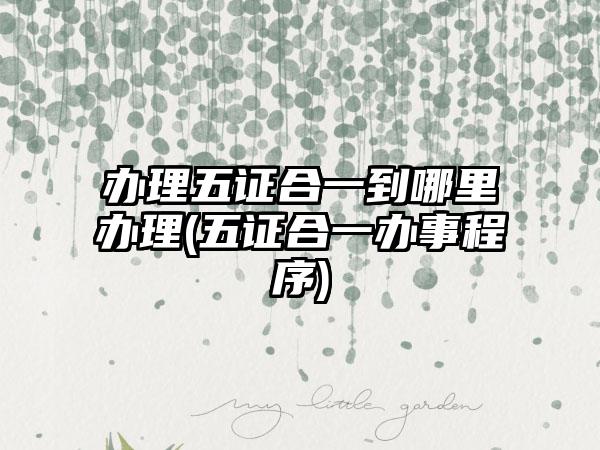 办理五证合一到哪里办理(五证合一办事程序)