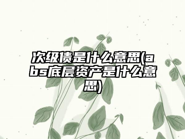 次级债是什么意思(abs底层资产是什么意思)