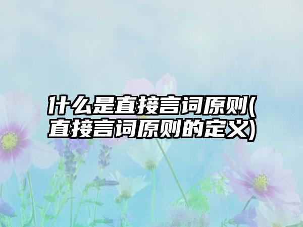 什么是直接言词原则(直接言词原则的定义)