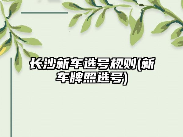 长沙新车选号规则(新车牌照选号)