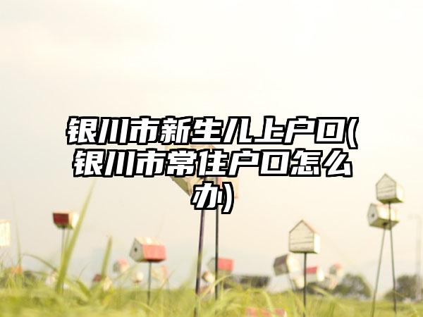 银川市新生儿上户口(银川市常住户口怎么办)