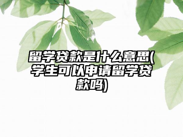 留学贷款是什么意思(学生可以申请留学贷款吗)
