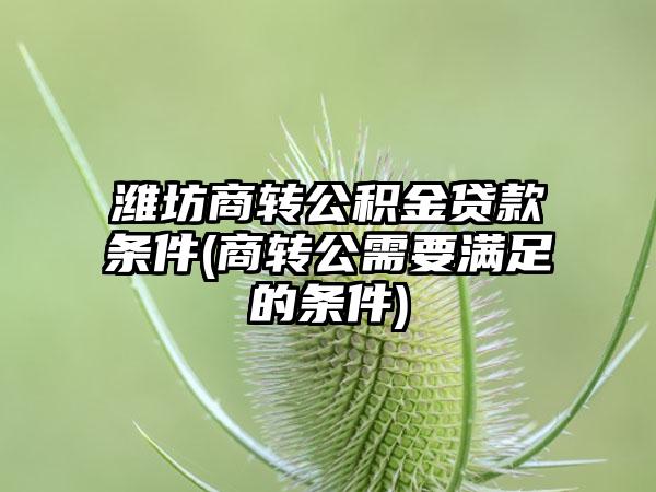 潍坊商转公积金贷款条件(商转公需要满足的条件)