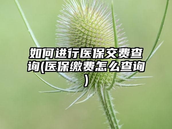 如何进行医保交费查询(医保缴费怎么查询)