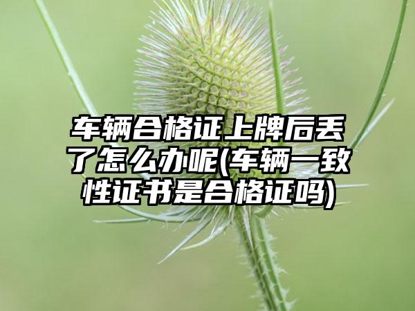车辆合格证上牌后丢了怎么办呢(车辆一致性证书是合格证吗)