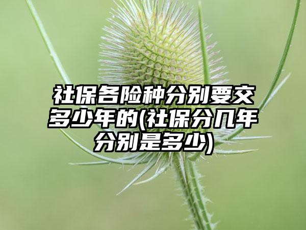 社保各险种分别要交多少年的(社保分几年分别是多少)