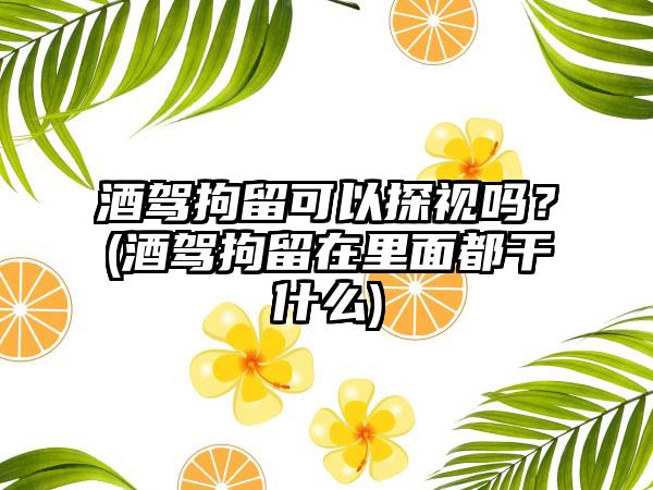 酒驾拘留可以探视吗？(酒驾拘留在里面都干什么)