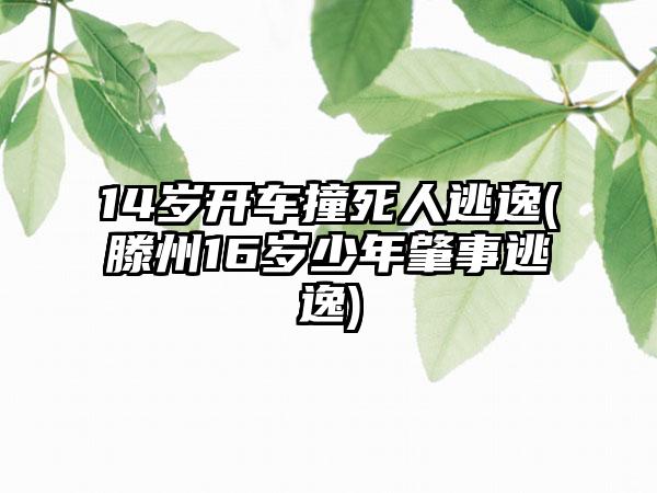 14岁开车撞死人逃逸(滕州16岁少年肇事逃逸)