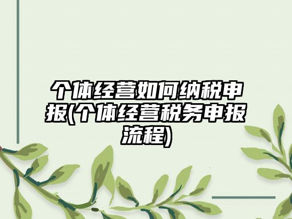 个体经营如何纳税申报(个体经营税务申报流程)