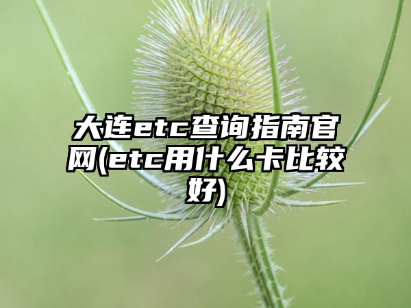 大连etc查询指南官网(etc用什么卡比较好)