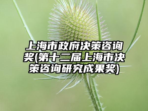 上海市政府决策咨询奖(第十二届上海市决策咨询研究成果奖)