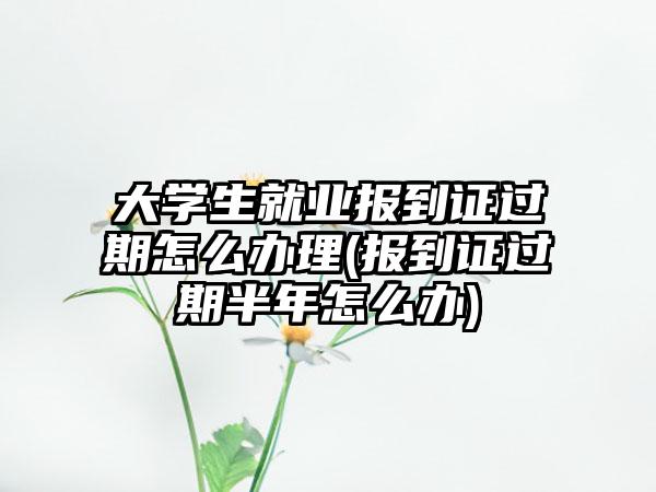 大学生就业报到证过期怎么办理(报到证过期半年怎么办)
