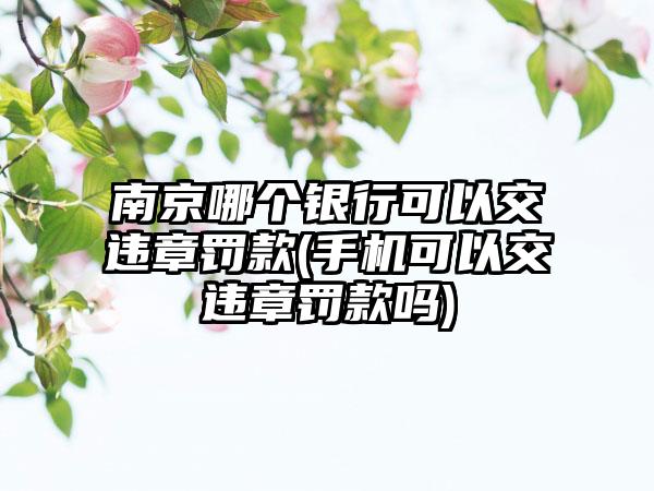 南京哪个银行可以交违章罚款(手机可以交违章罚款吗)
