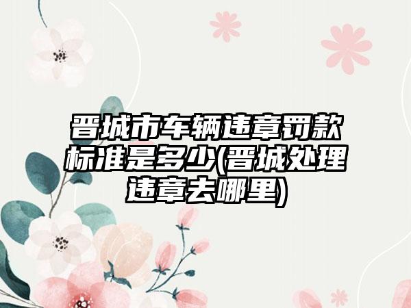 晋城市车辆违章罚款标准是多少(晋城处理违章去哪里)