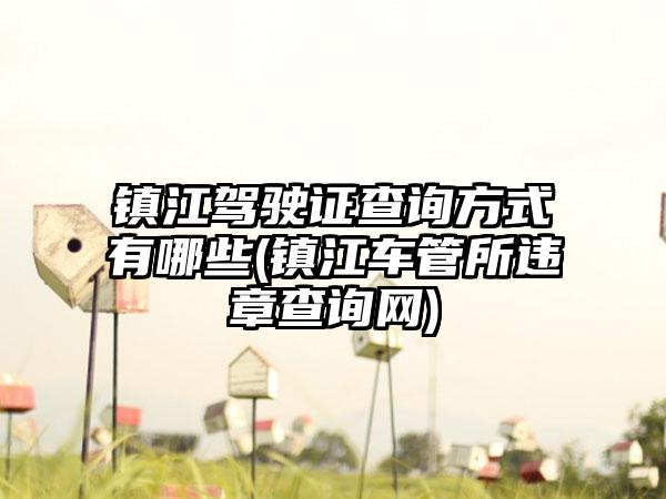 镇江驾驶证查询方式有哪些(镇江车管所违章查询网)
