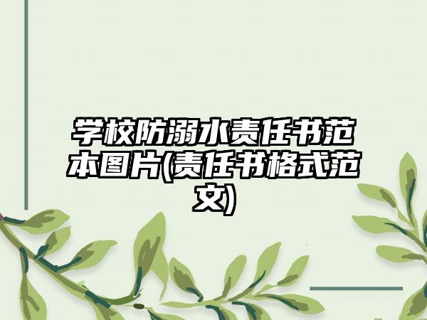 学校防溺水责任书范本图片(责任书格式范文)