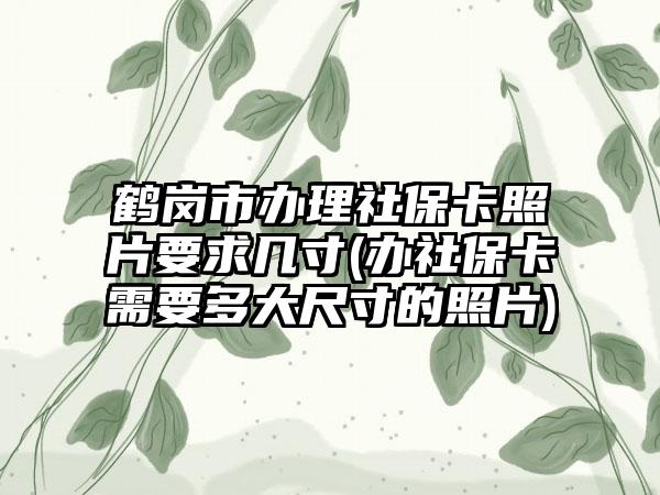 鹤岗市办理社保卡照片要求几寸(办社保卡需要多大尺寸的照片)