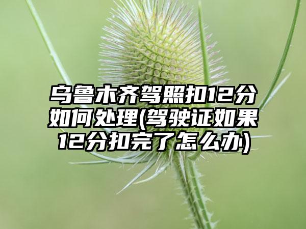 乌鲁木齐驾照扣12分如何处理(驾驶证如果12分扣完了怎么办)