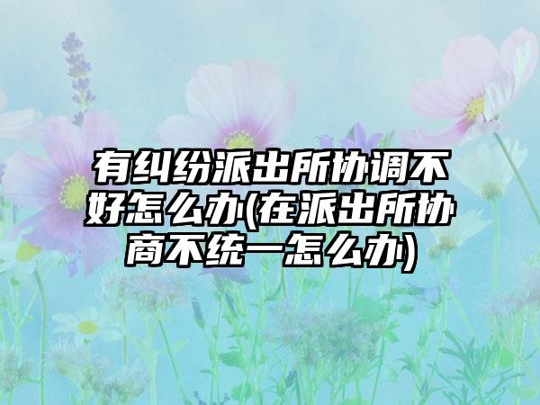 有纠纷派出所协调不好怎么办(在派出所协商不统一怎么办)