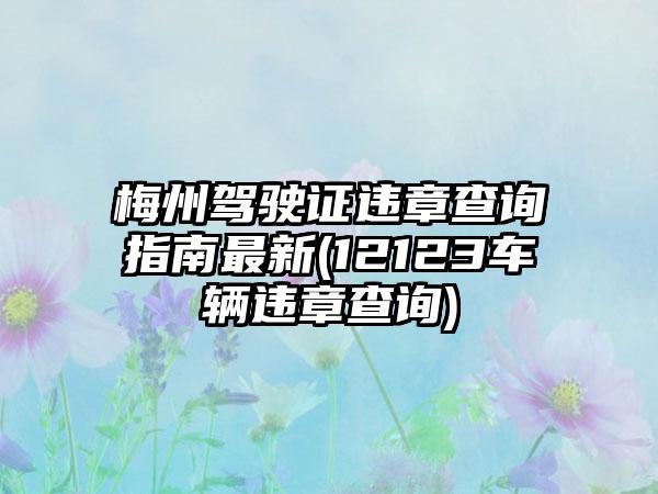 梅州驾驶证违章查询指南最新(12123车辆违章查询)