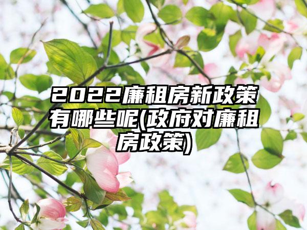 2022廉租房新政策有哪些呢(政府对廉租房政策)