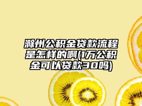 滁州公积金贷款流程是怎样的啊(1万公积金可以贷款30吗)