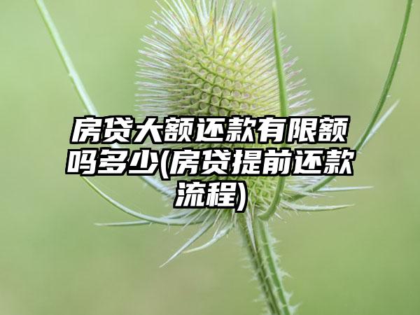 房贷大额还款有限额吗多少(房贷提前还款流程)