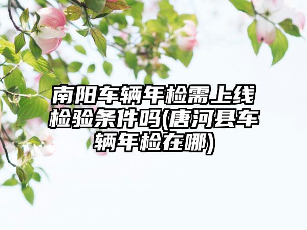 南阳车辆年检需上线检验条件吗(唐河县车辆年检在哪)