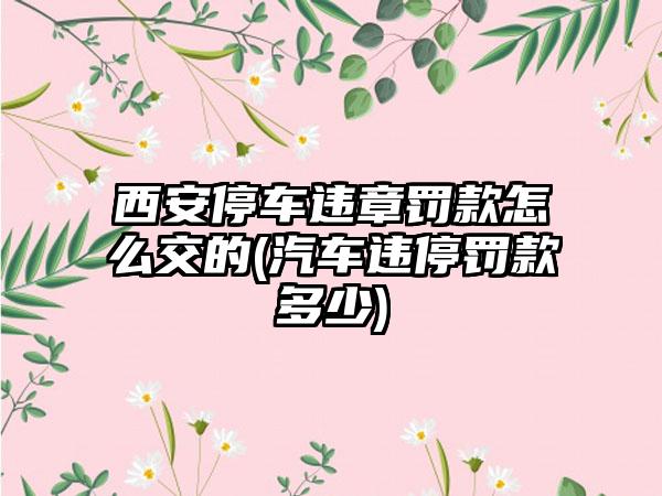 西安停车违章罚款怎么交的(汽车违停罚款多少)