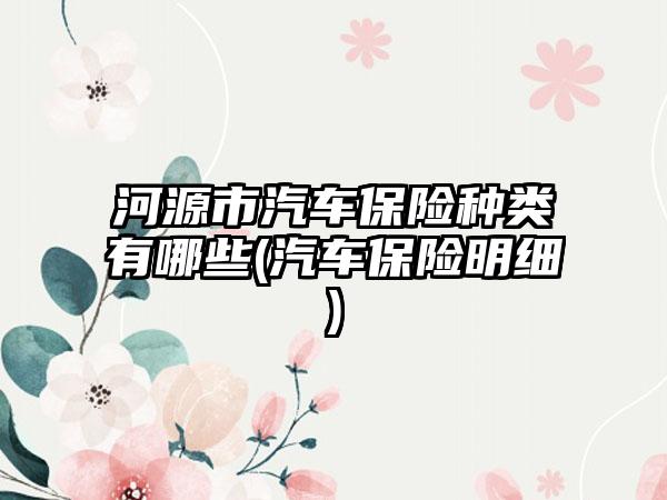河源市汽车保险种类有哪些(汽车保险明细)